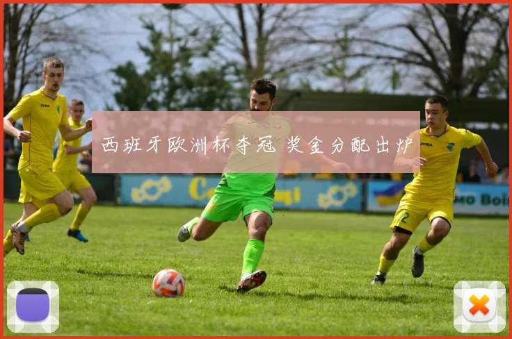 西班牙欧洲杯夺冠 奖金分配出炉