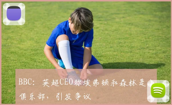 BBC：英超CEO称埃弗顿和森林是小俱乐部，引发争议