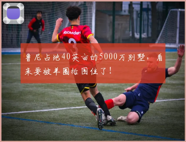 鲁尼占地40英亩的5000万别墅，看来要被羊圈给围住了！