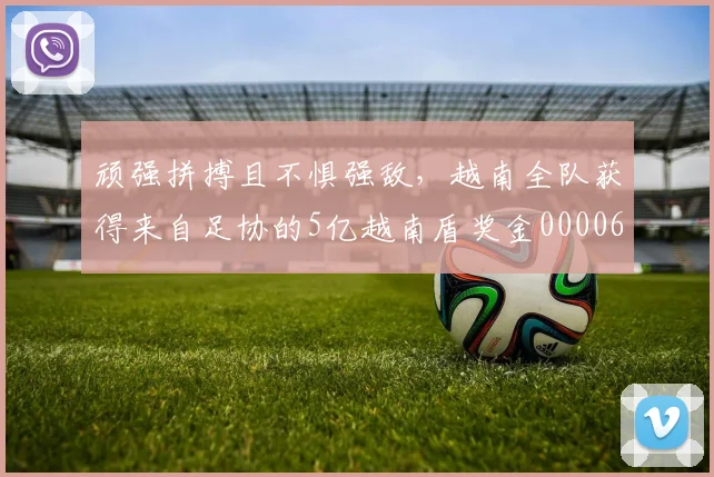 顽强拼搏且不惧强敌，越南全队获得来自足协的5亿越南盾奖金0000644